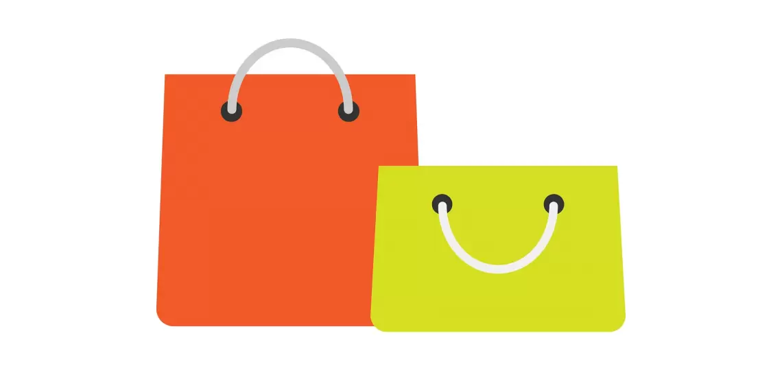 Young The Label: A New Player in the Australian Luxury Handbag Market
