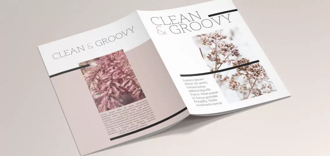 11 Pros and Cons of Brochure Ads (2024) SavvySME