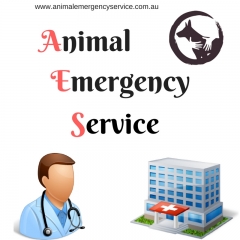 Animal Emergency Service