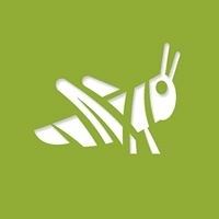 Grasshopper