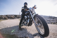 Harley Rides