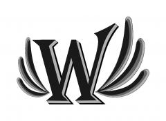 Dynamic Websites