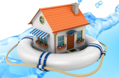 The Flood Experts