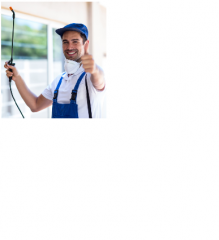 Affordable Pest Control Townsville