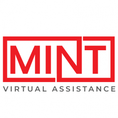 Mint Virtual Assistance