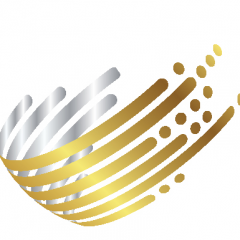 VA Executive Services