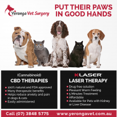 Yeronga Veterinary Surgery