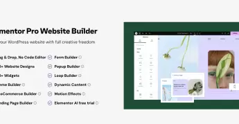 Elementor: All-in-one Wordpress Website